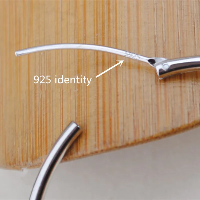 Round Sterling Silver Earrings - 925 Silver Hoops