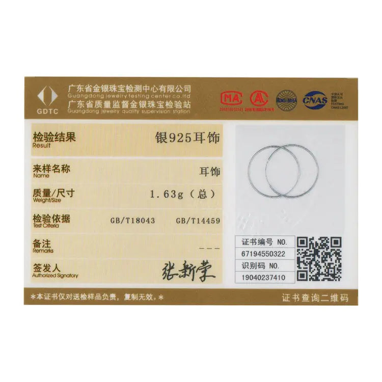 Large Hoop Earrings - 925 Sterling Silver